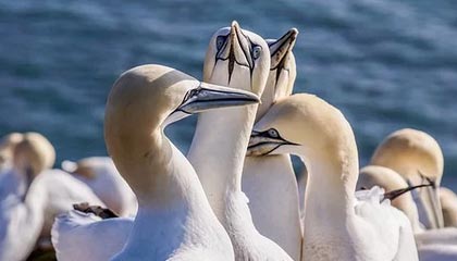 永州伴游,定制QQ:3494206190微信:act1322