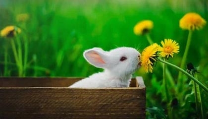 永州伴游,定制QQ:3494206190微信:act1322